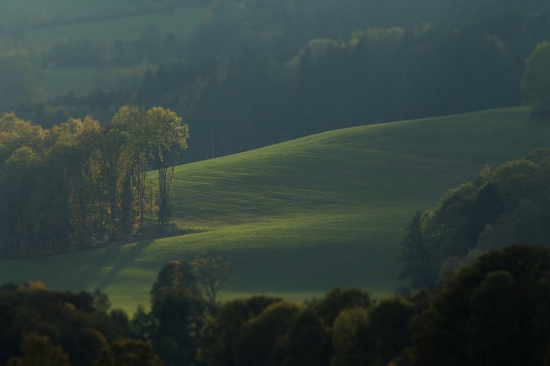 Green Landscape
