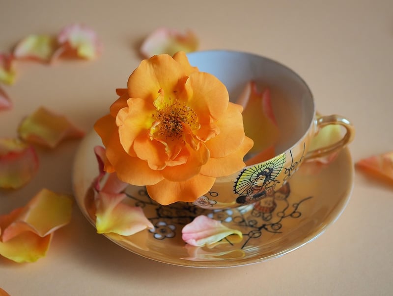 Teacup Planters